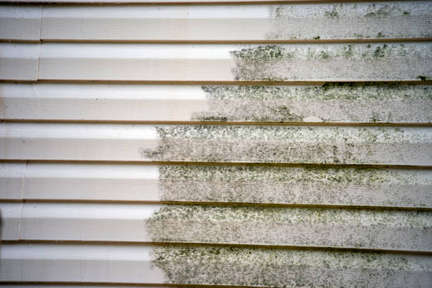 Best Historical Building Siding Restoration  in Prairie Du Chien, WI