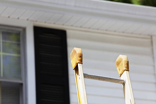 Best Residential Vinyl Siding Installation  in Prairie Du Chien, WI